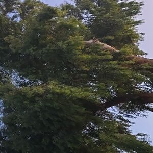 SUMMER SALE! Buy 2 get 1! Bras & Underwear Any brand!